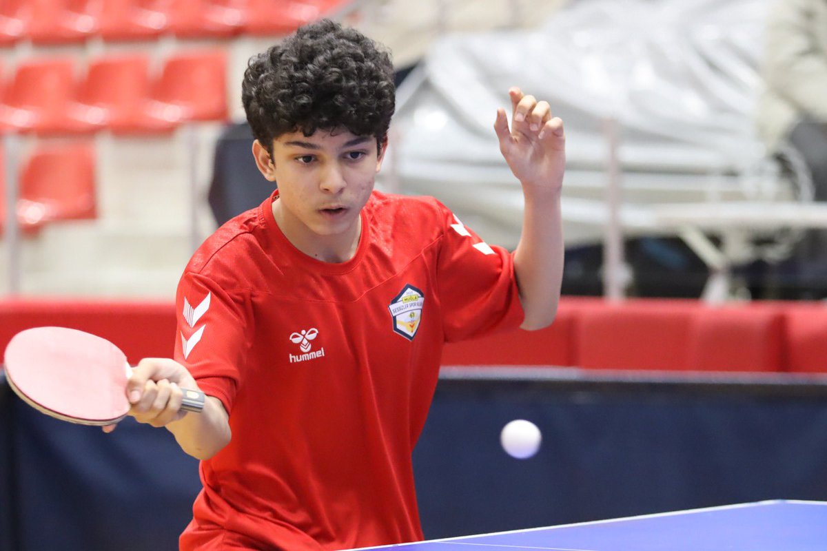 Türkiye İşitme Engelliler Spor Federasyonu tweet media