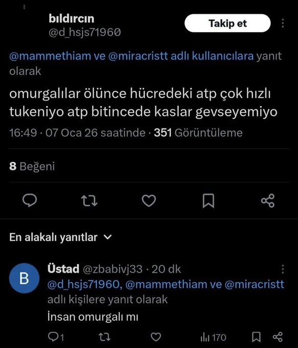 peter pan 💎 tweet media