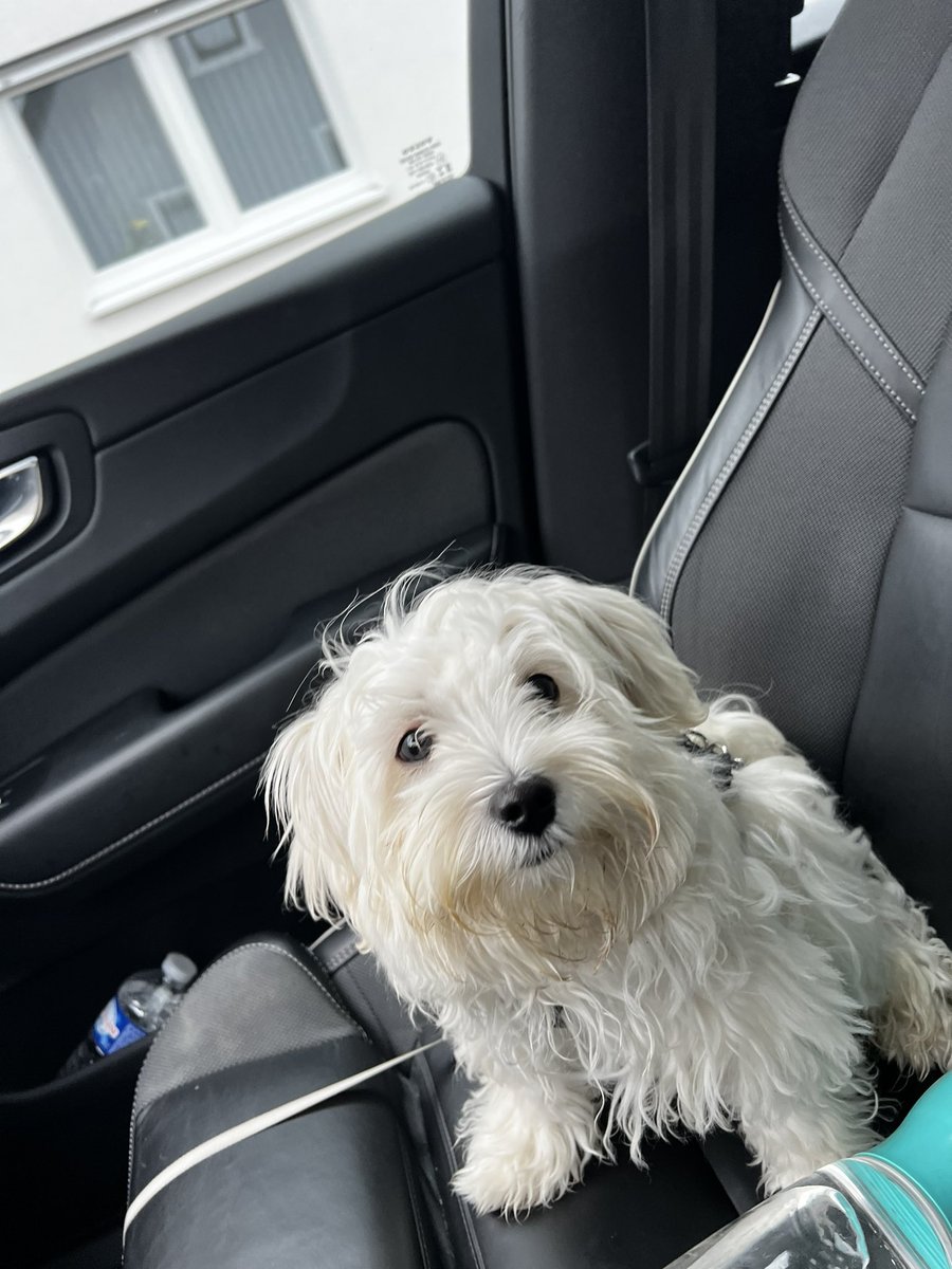 Kurtoğlu 🤘🇹🇷 tweet media