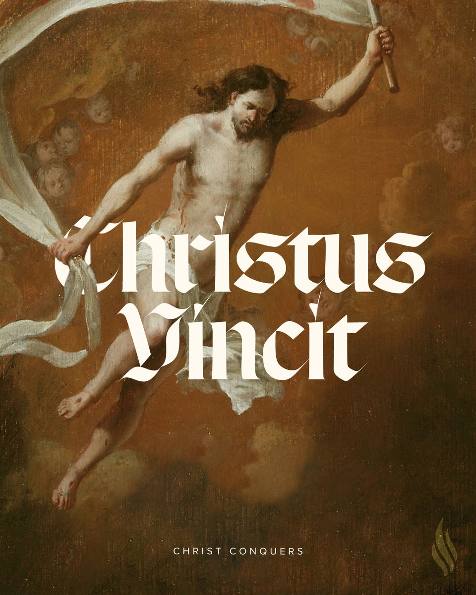 Bishop Robert Barron tweet media