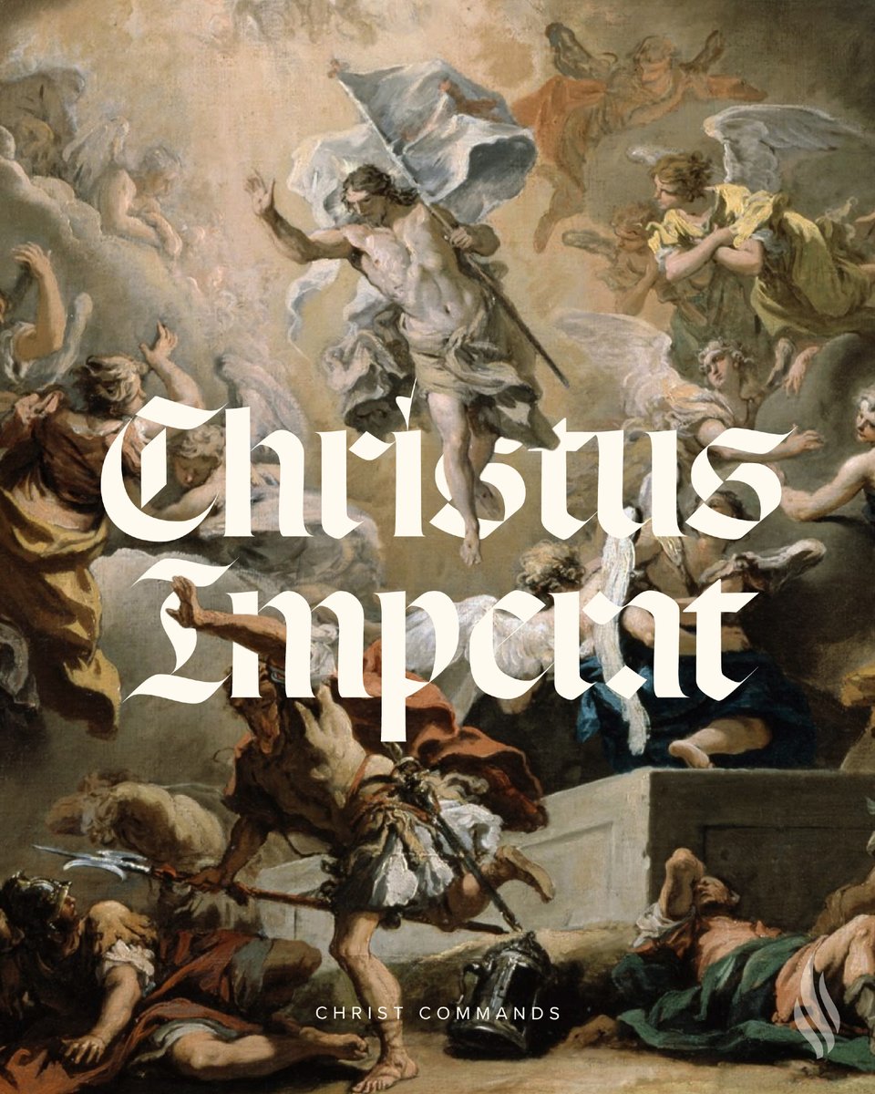 Bishop Robert Barron tweet media