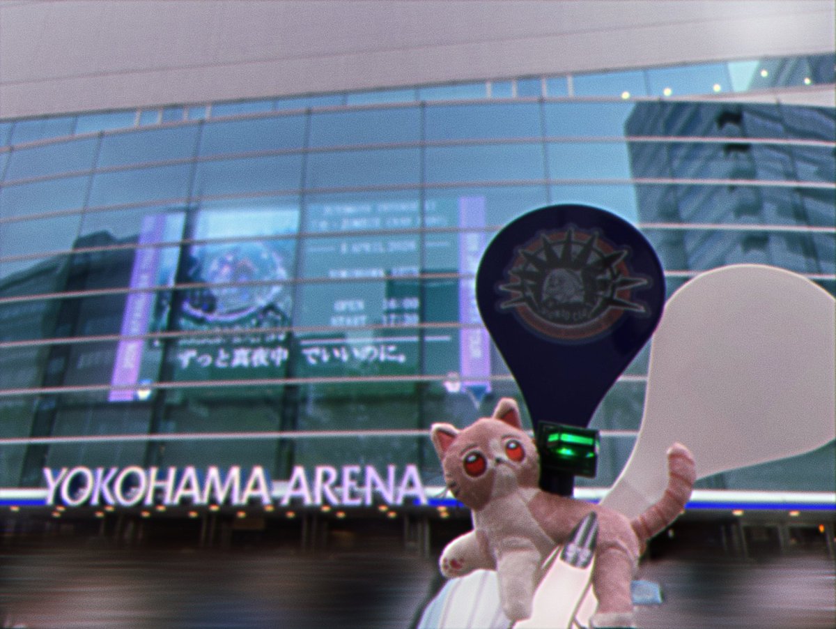 とおか🧁🗯️ tweet media