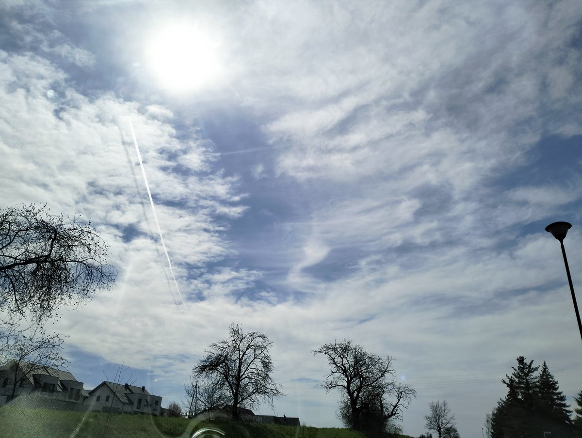 sayuki O tweet media