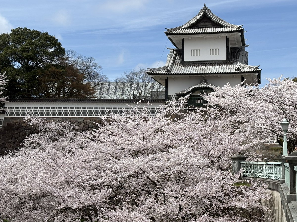 FT-きりえ tweet media