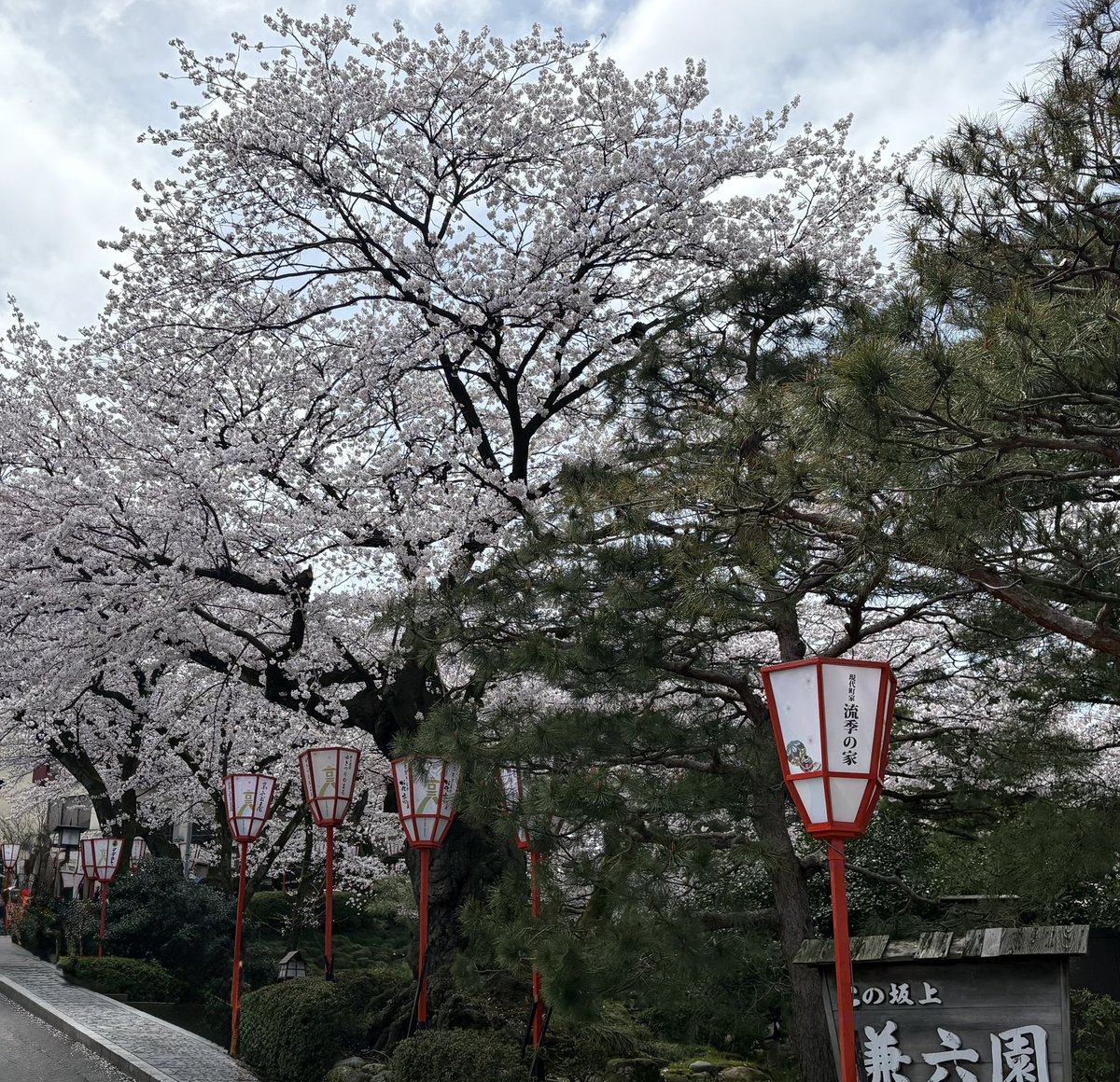 FT-きりえ tweet media