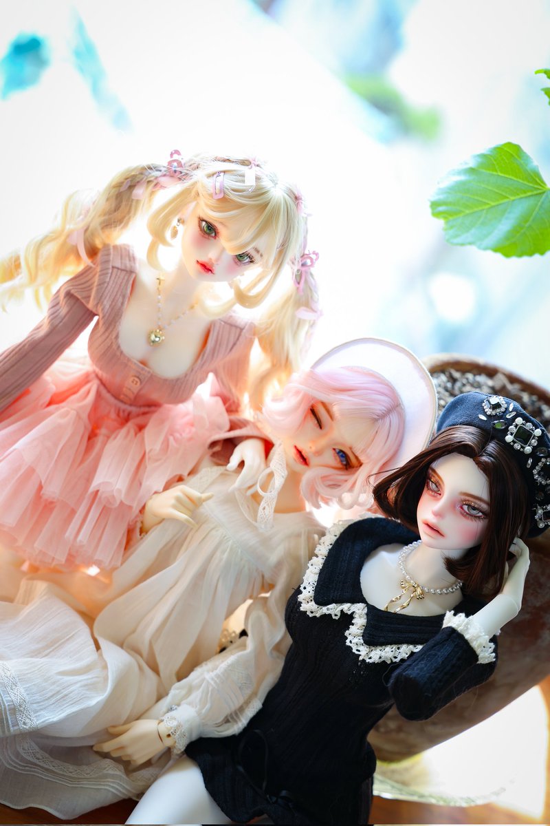 🐱WON🐱 tweet media