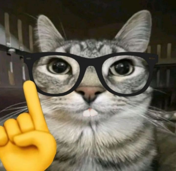 astronauta tweet media