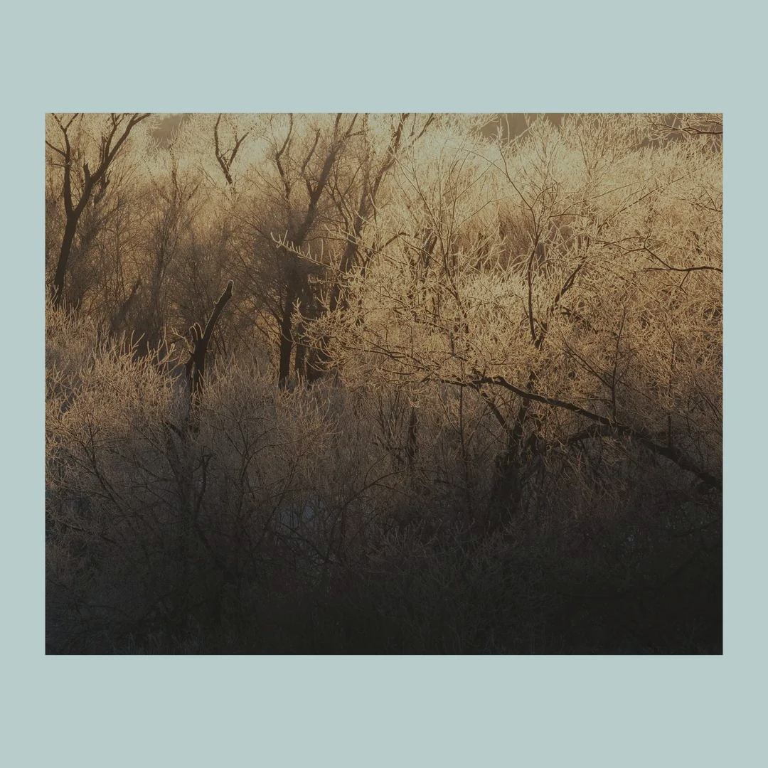 Starry nights make life bright