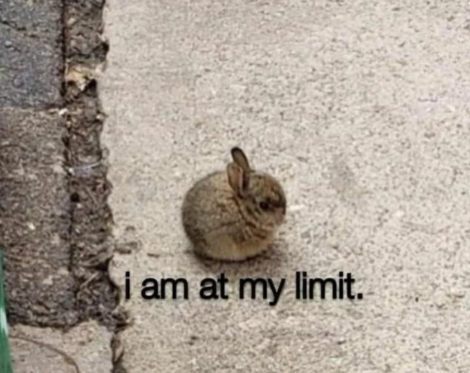 🪏 Michele | Harmonic tweet media