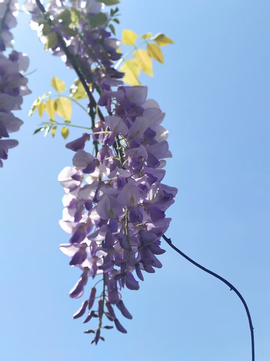 小美（互关💯) tweet media