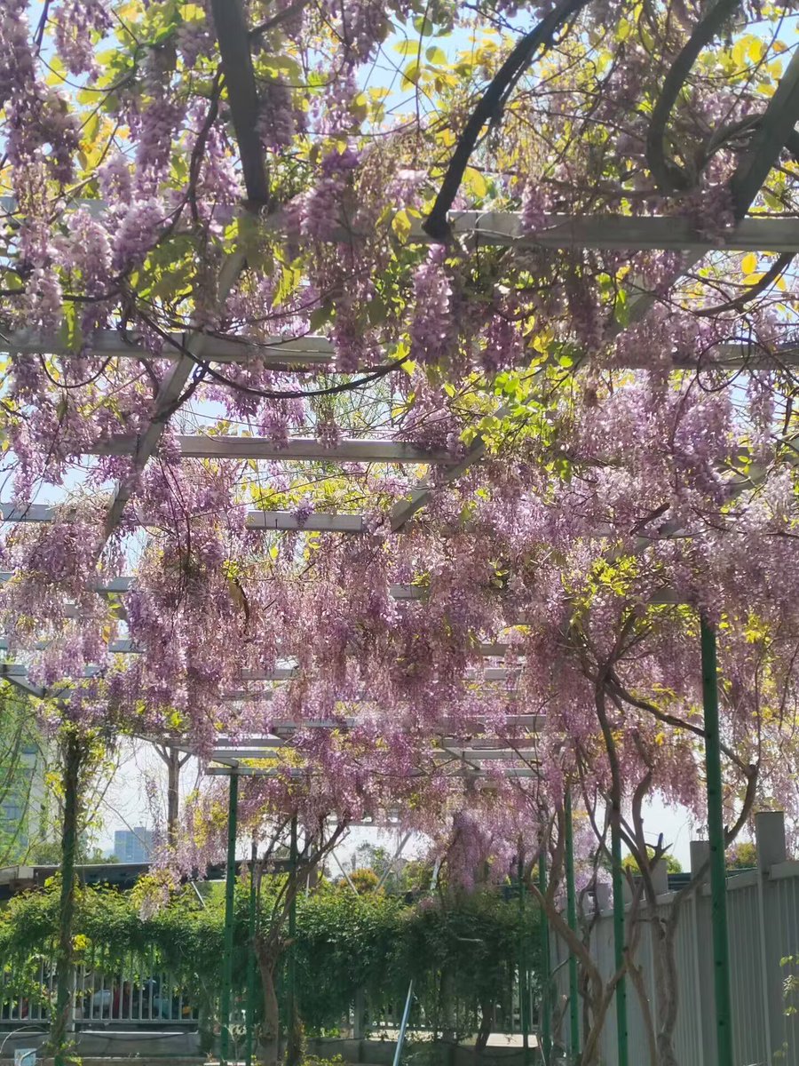 小美（互关💯) tweet media