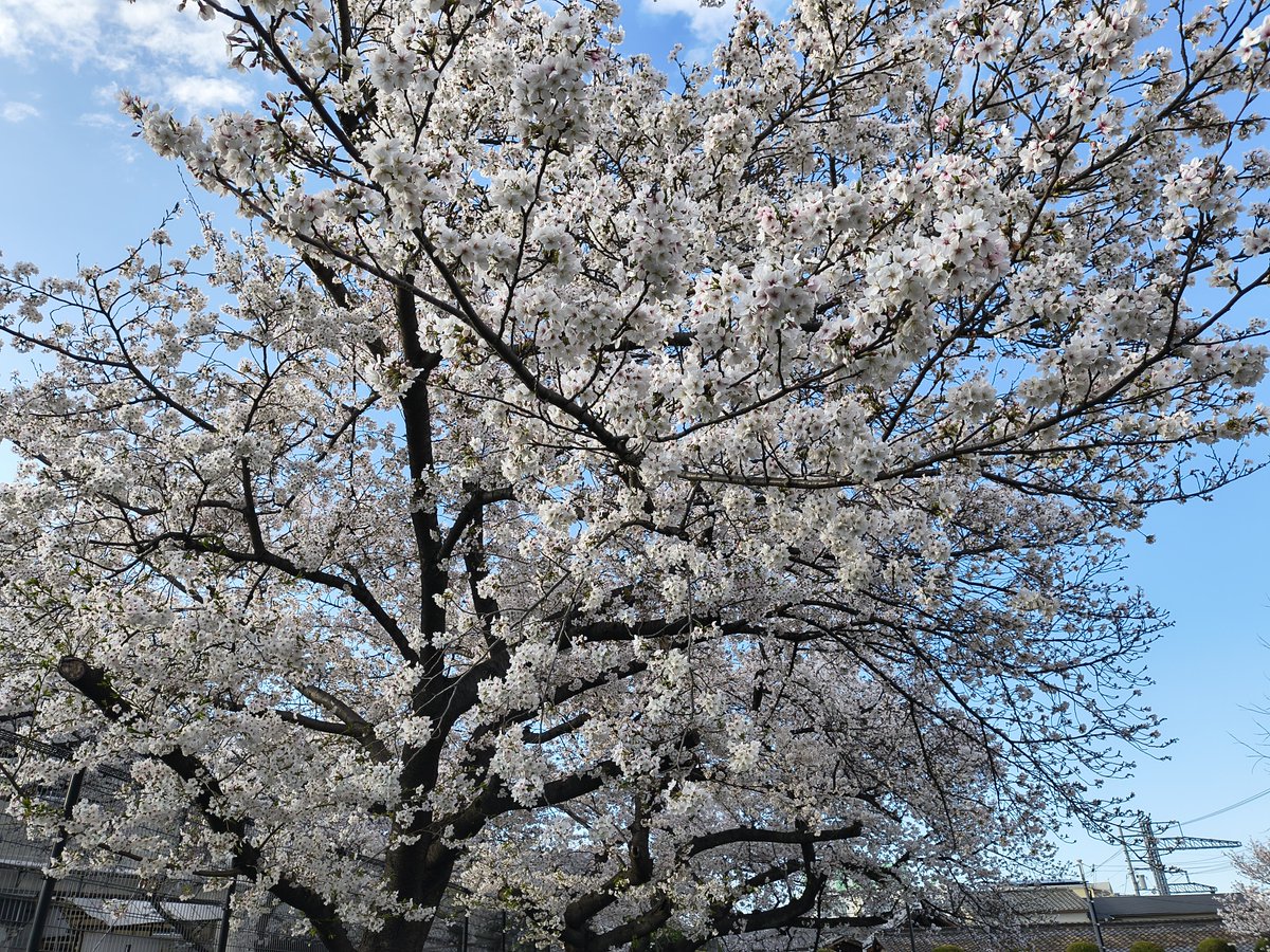 石田1967 ⛩ tweet media