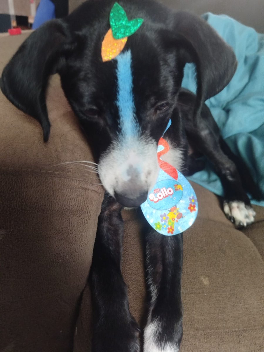 claraatwt tweet media