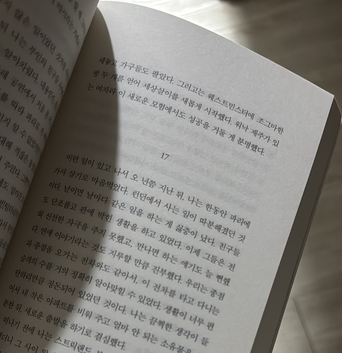 취향루 tweet media