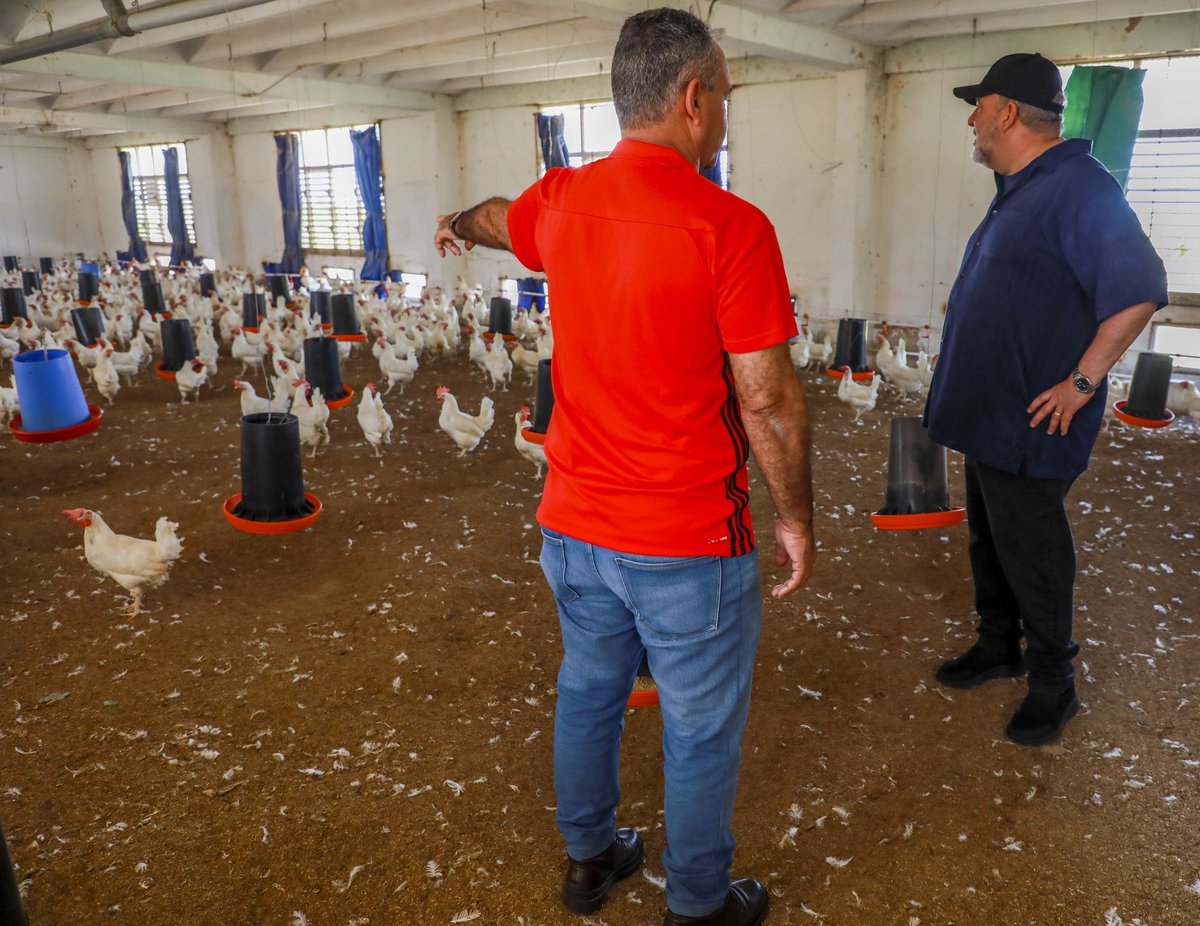 Manuel Marrero Cruz tweet media