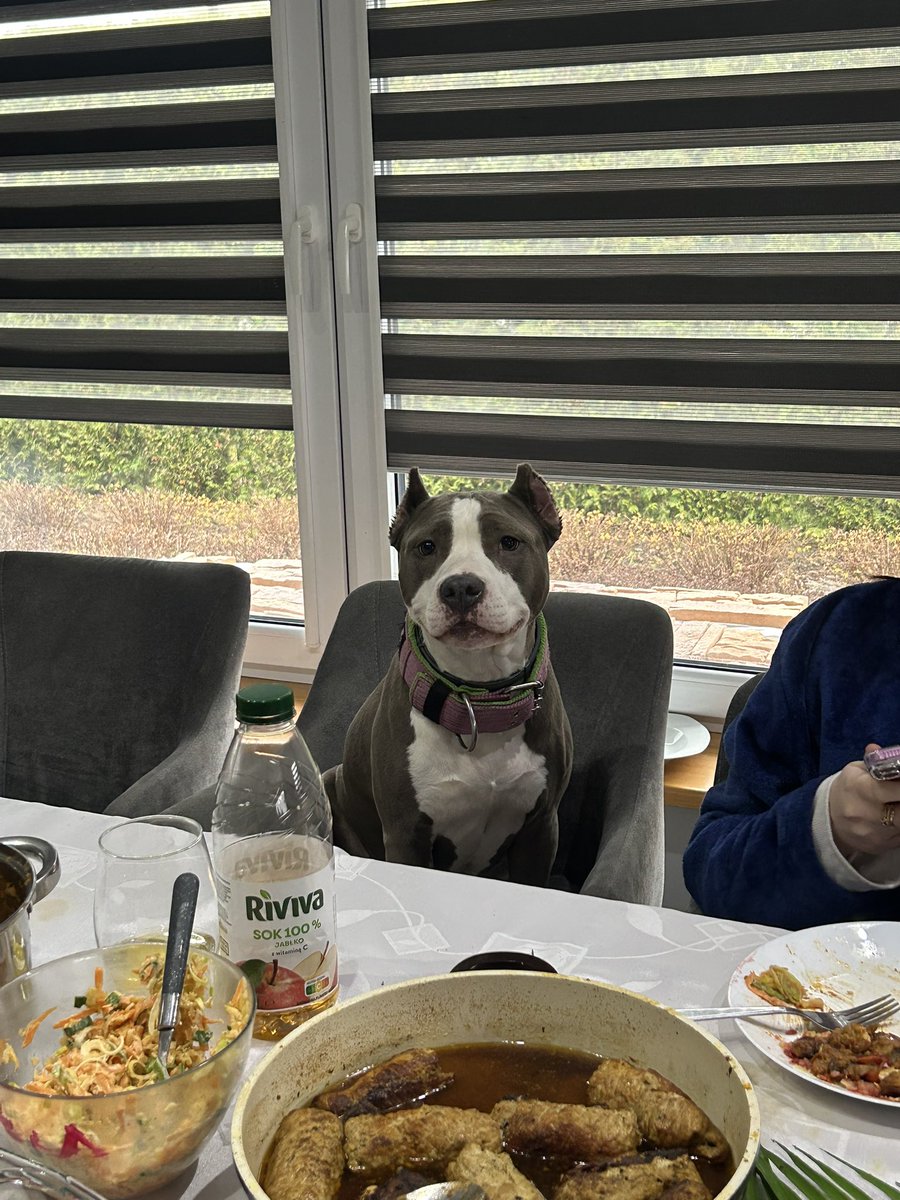 eli;p🇰🇷 werka dzien ENHYPEN IS 7 tweet media