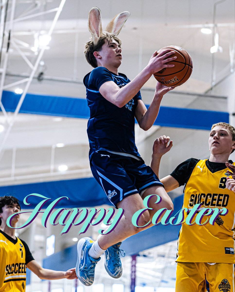 816 Hoops tweet media