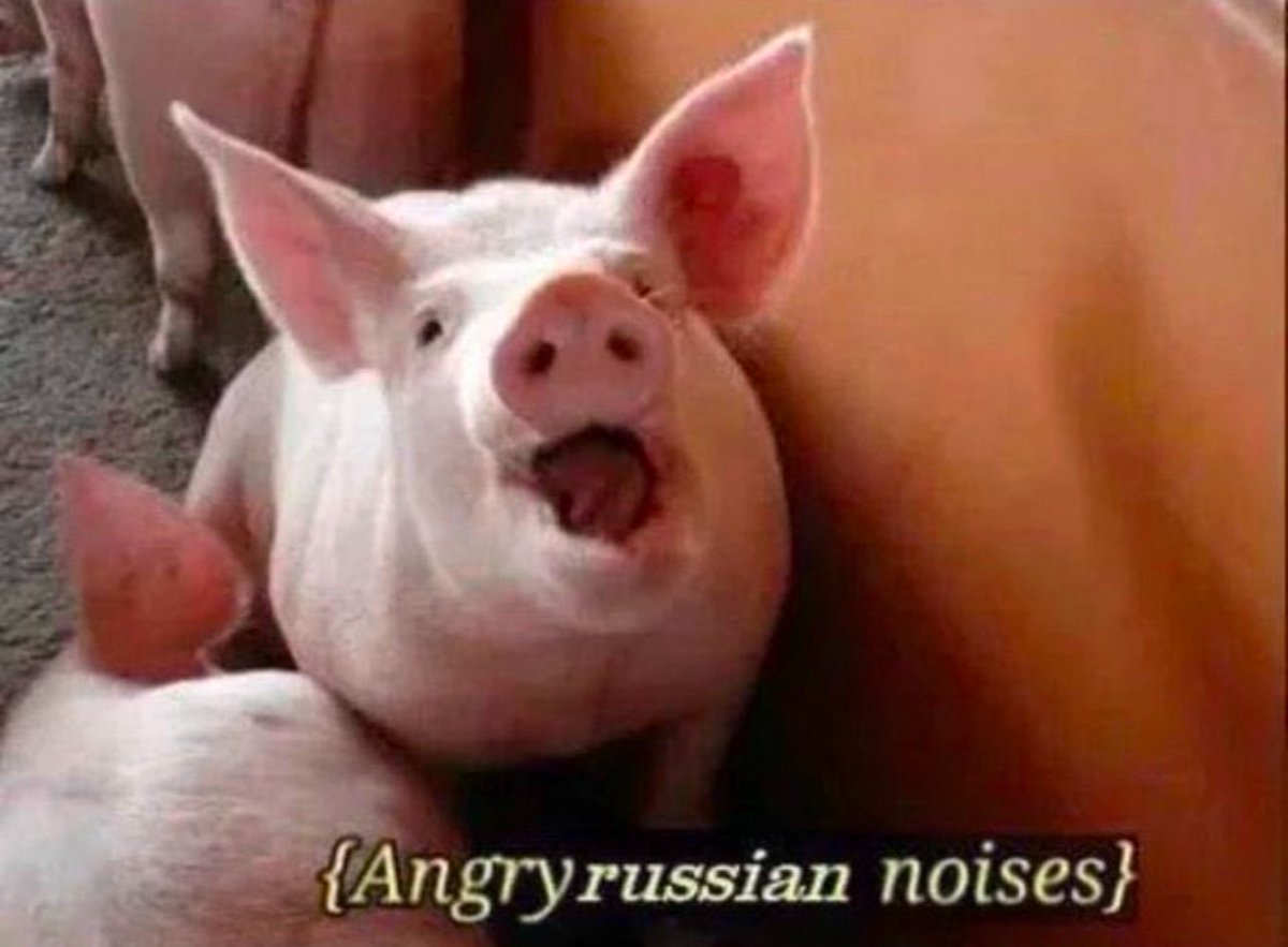 Northern Alberta Farmers Organization 🇨🇦❤️🇺🇦 tweet media