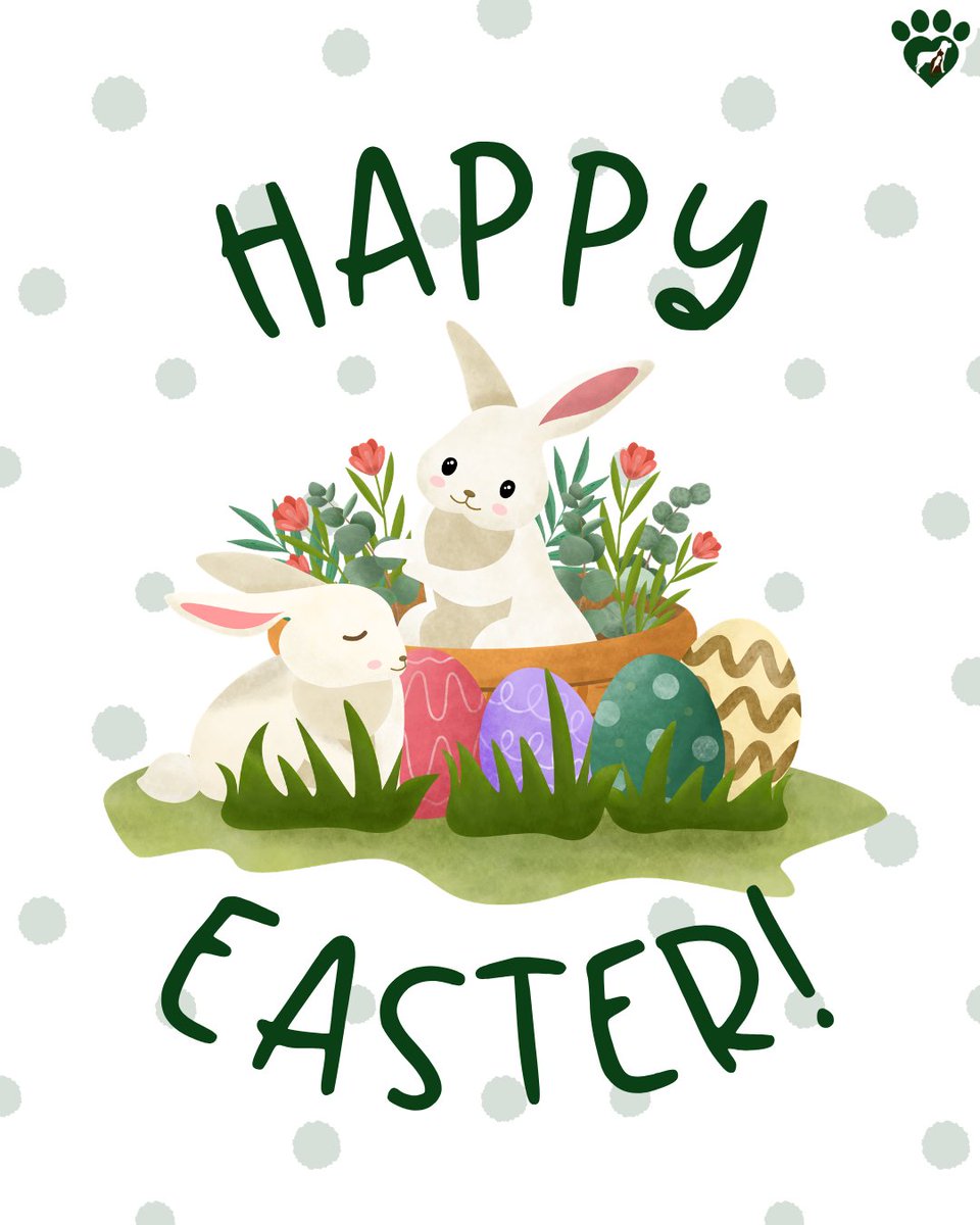 Animal Hosp. Sussex tweet media