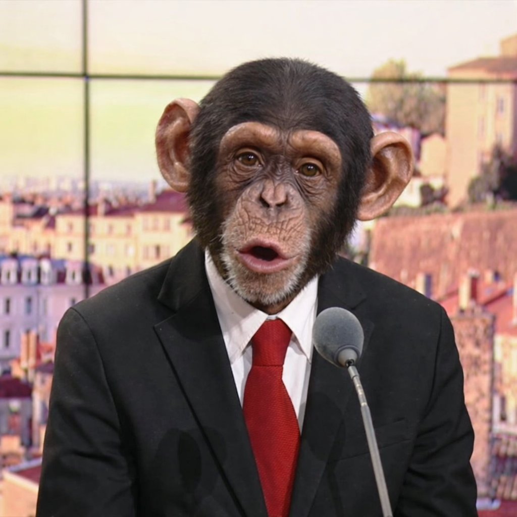 SerialCrest tweet media