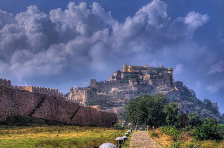 Flight Leader 'Blaze' tweet media