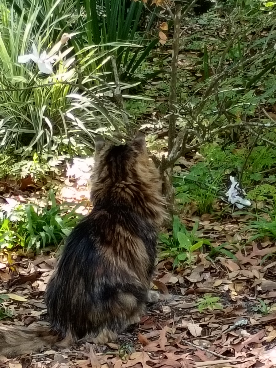 Marc C Wichman tweet media