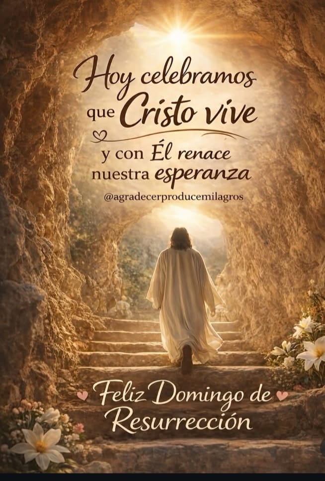 Mara_meli tweet media