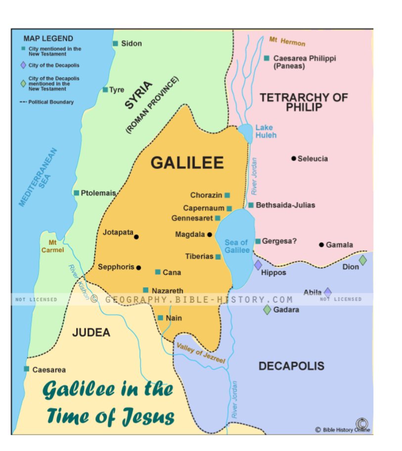 HERITAGE FLORIDIAN🐊 tweet media