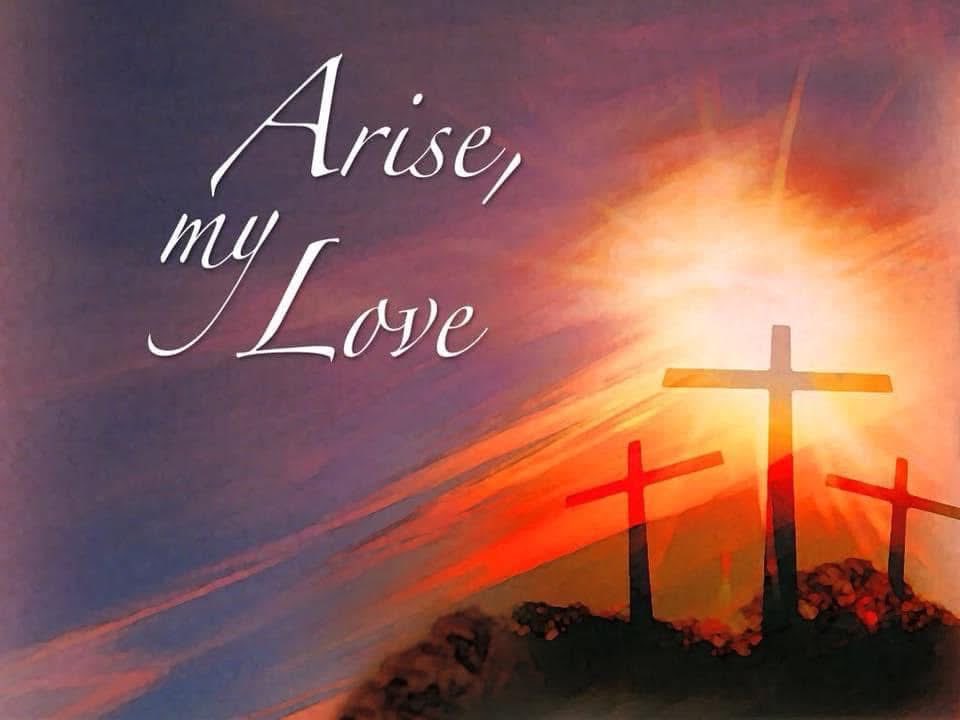 Lori Averitt Rice tweet media