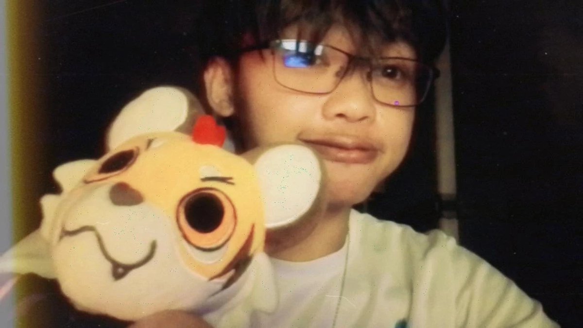 Lumii😺🐟- COMMS FULL tweet media