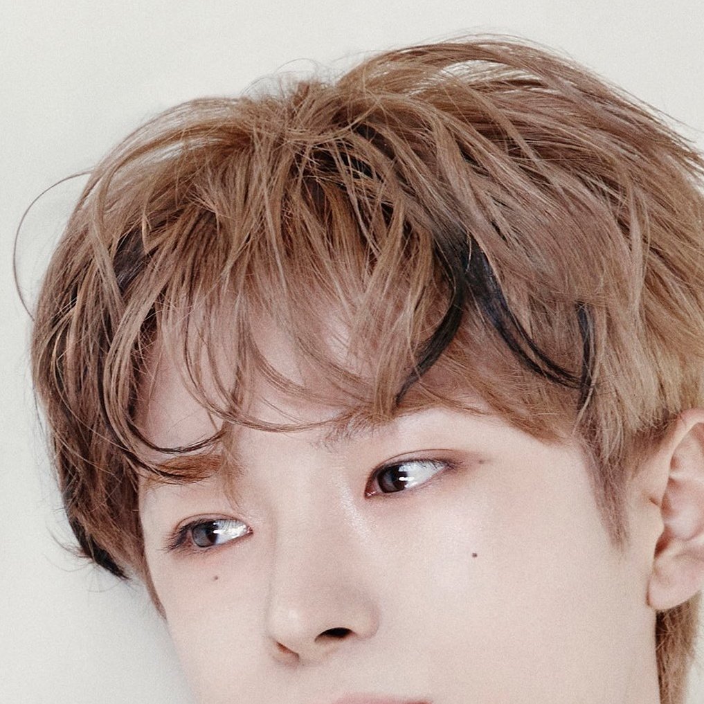 ⩌⩊⩌ tweet media