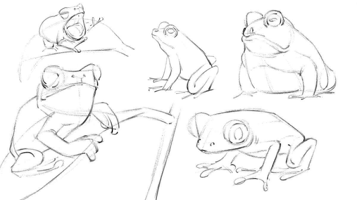 phuleart's tweet photo. I do some sketches. 🐸 https://t.co/GX2rcYa8Qc