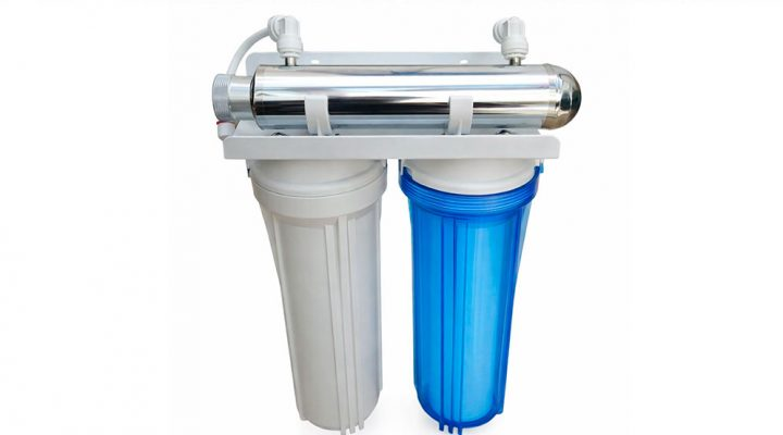 Diario La Capital Mar del Plata tweet media