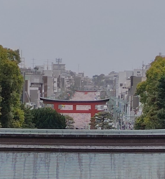 Sail(セイル) tweet media