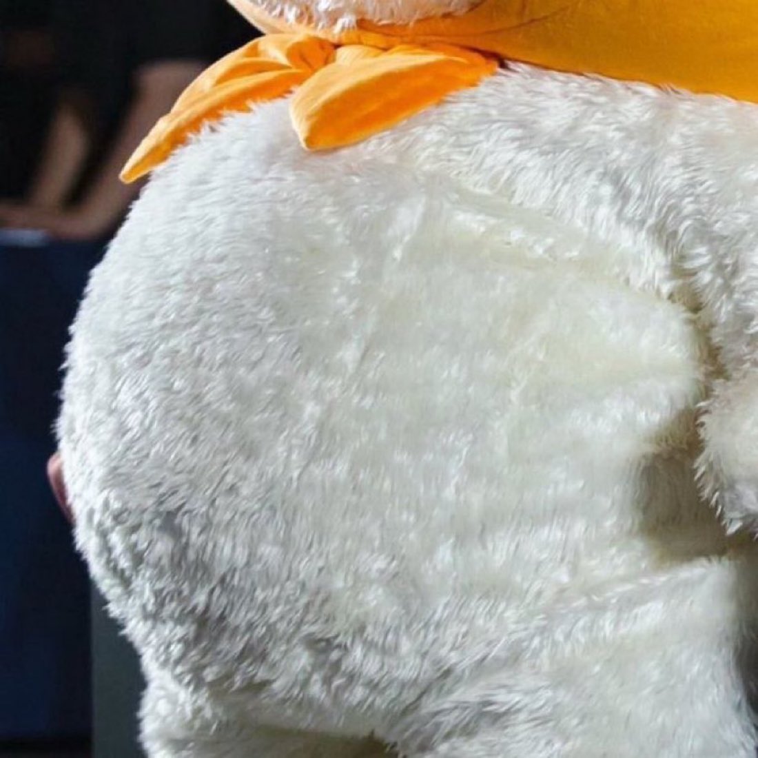 (𝙨𝙡𝙤𝙬) พพม 🐈‍⬛🌱 tweet media