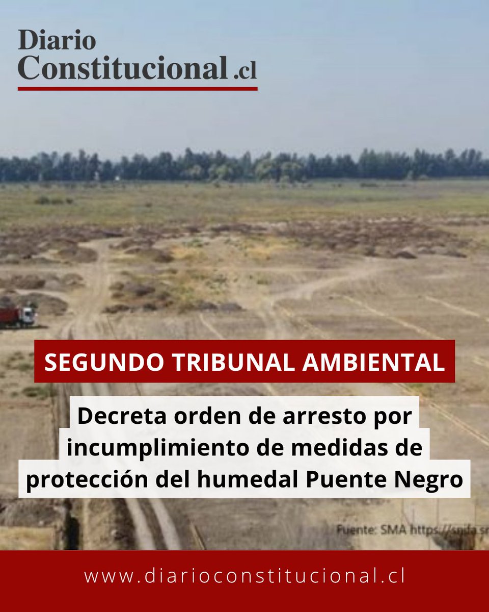 DiarioConstitucional tweet media
