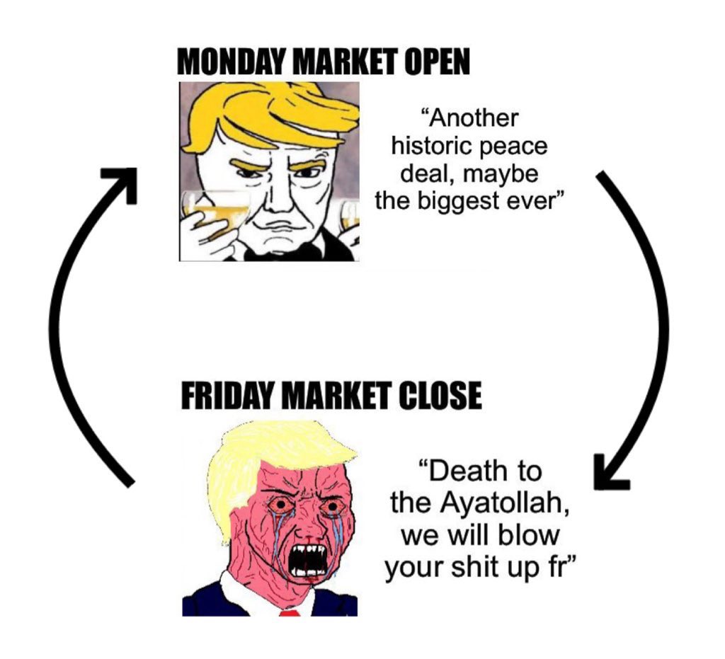 dane 🚩 tweet media