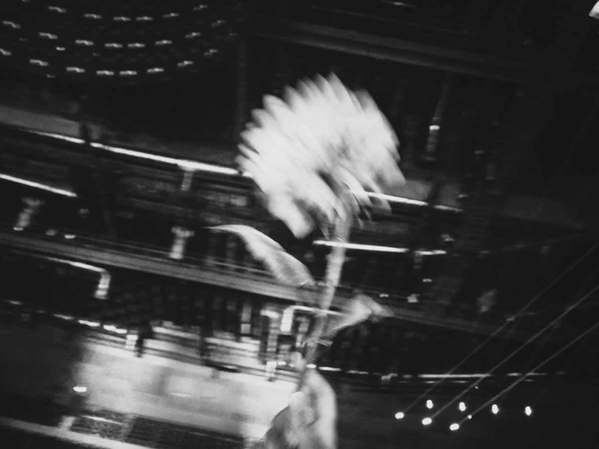 jula ★ tweet media