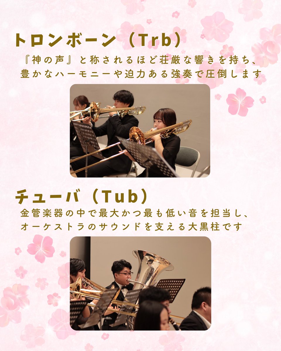 tohophil's tweet photo. 最後にご紹介するのは、オーケストラの後方で一際輝く金管楽器です🎺
大きな音のイメージがあるかもしれませんが、心を震わすファンファーレから、涙が出るほど美しいメロディまで、実はとっても表情豊かな楽器たちなんです✨
迫力たっぷりの金管楽器の世界を、ぜひ一度のぞきに来てください！💨 https://t.co/SiBQejKdsA