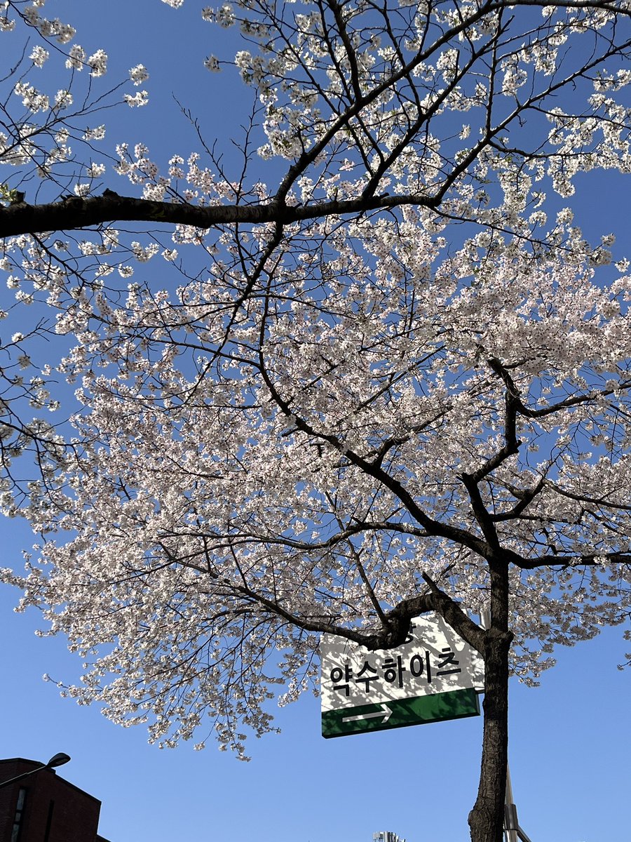 まぐまぐ tweet media