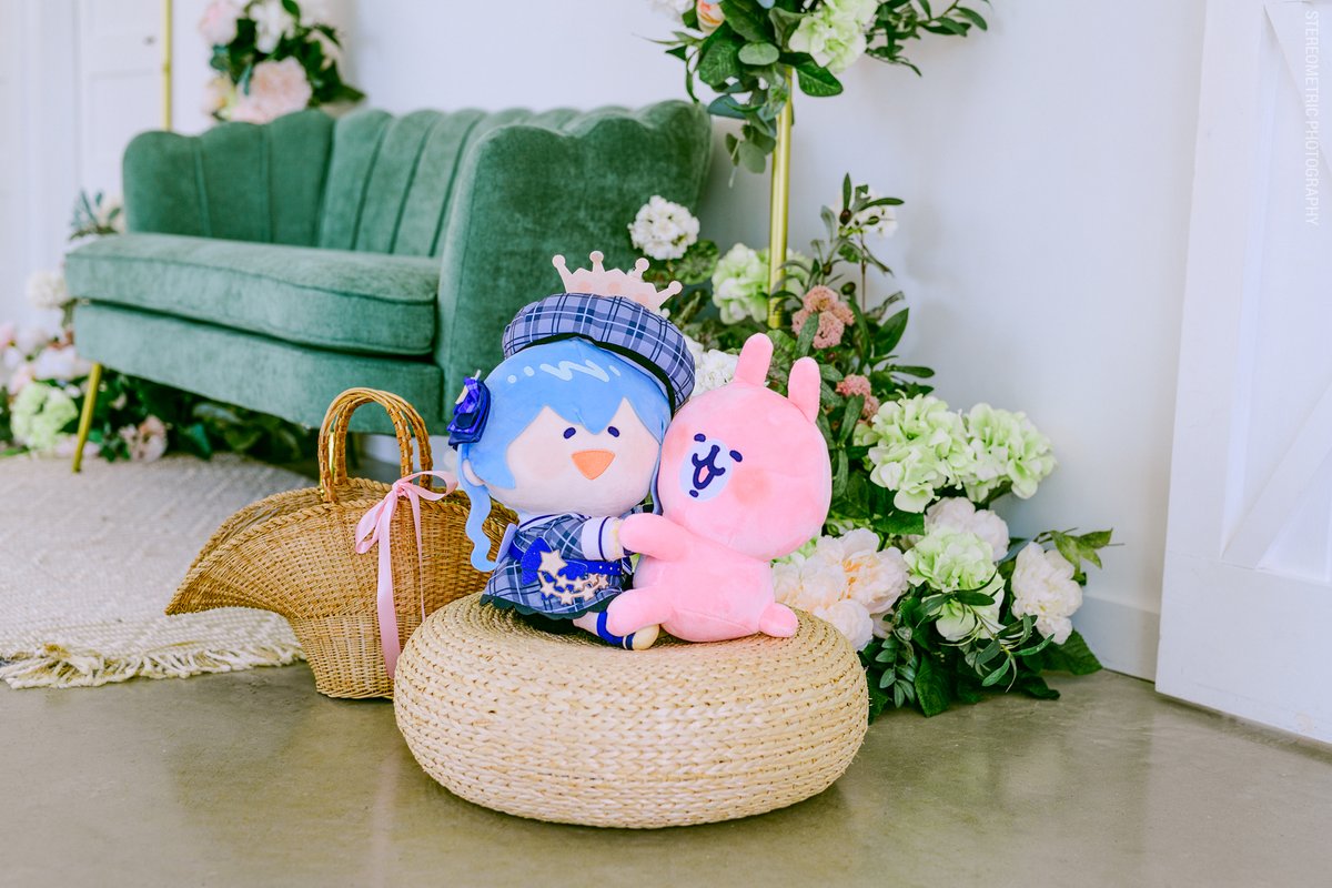 Stereometric tweet media