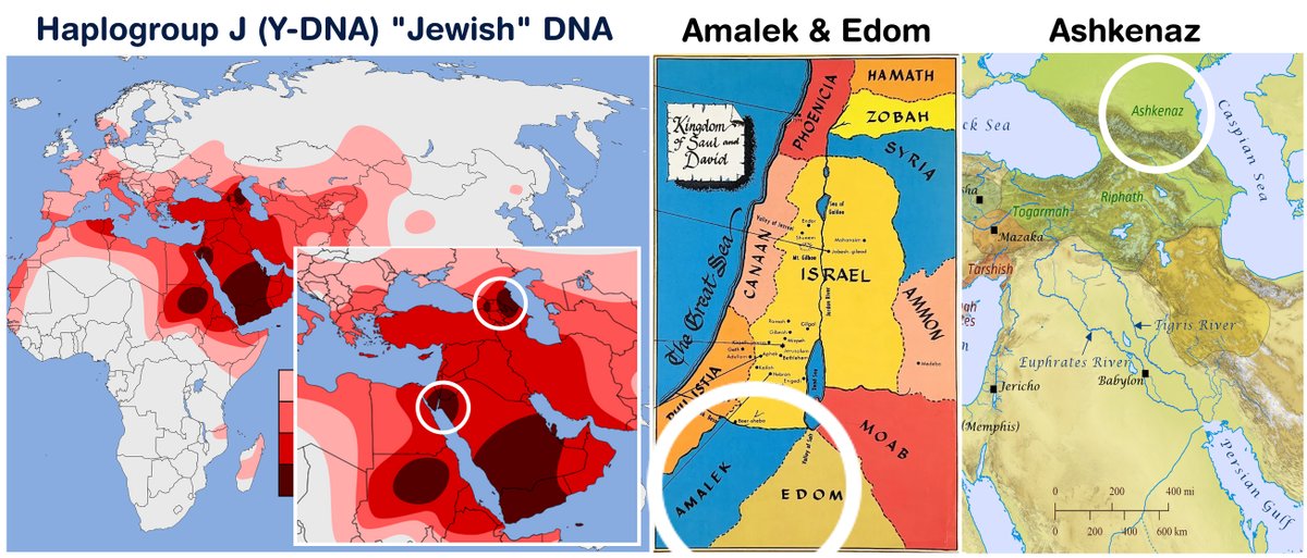 Mr. Sparkums tweet media
