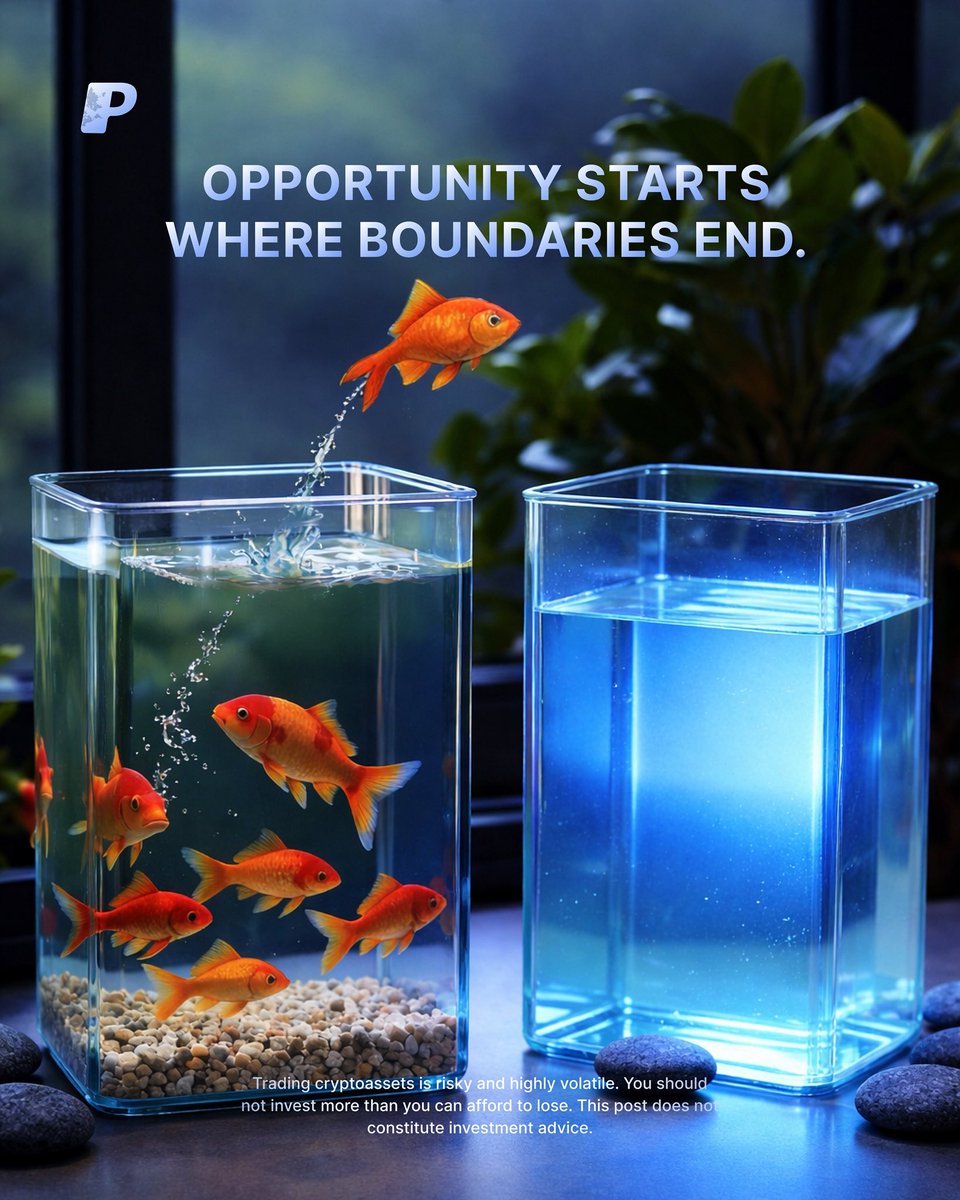 PaysoloX's tweet photo. Move beyond limits. 🌍

With Paysolo, your money isn’t restricted by borders or slow systems.
Receive payouts from global marketplaces, convert instantly to crypto, ETH, and LTC, and move your funds where opportunity lives.

The world is bigger than one tank.
Your finances should https://t.co/B2mHd9Or0F