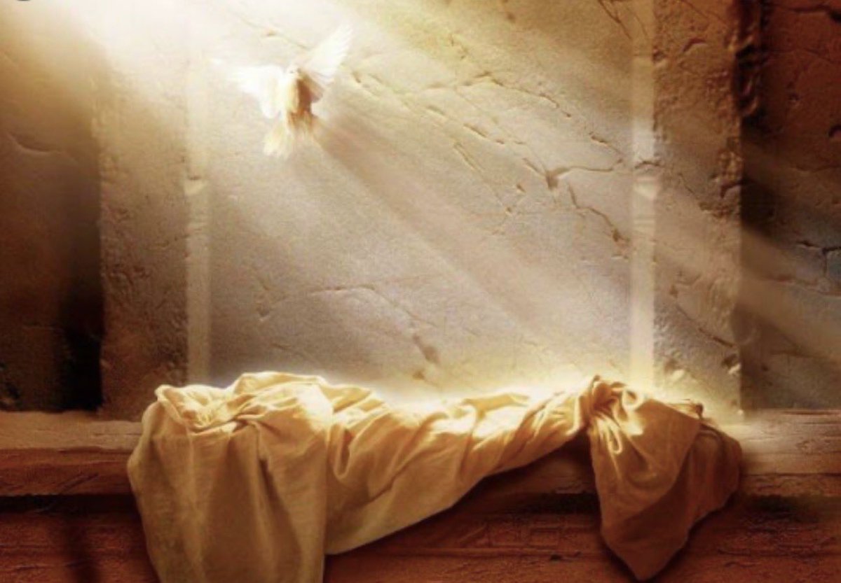 Fabricio Vela tweet media