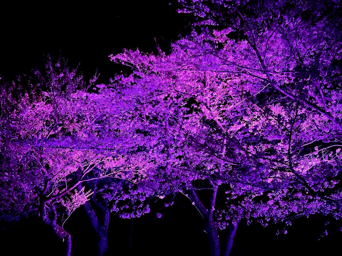 l く lく @デペイズマン tweet media