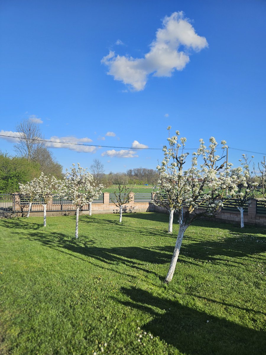 LuckyByte tweet media