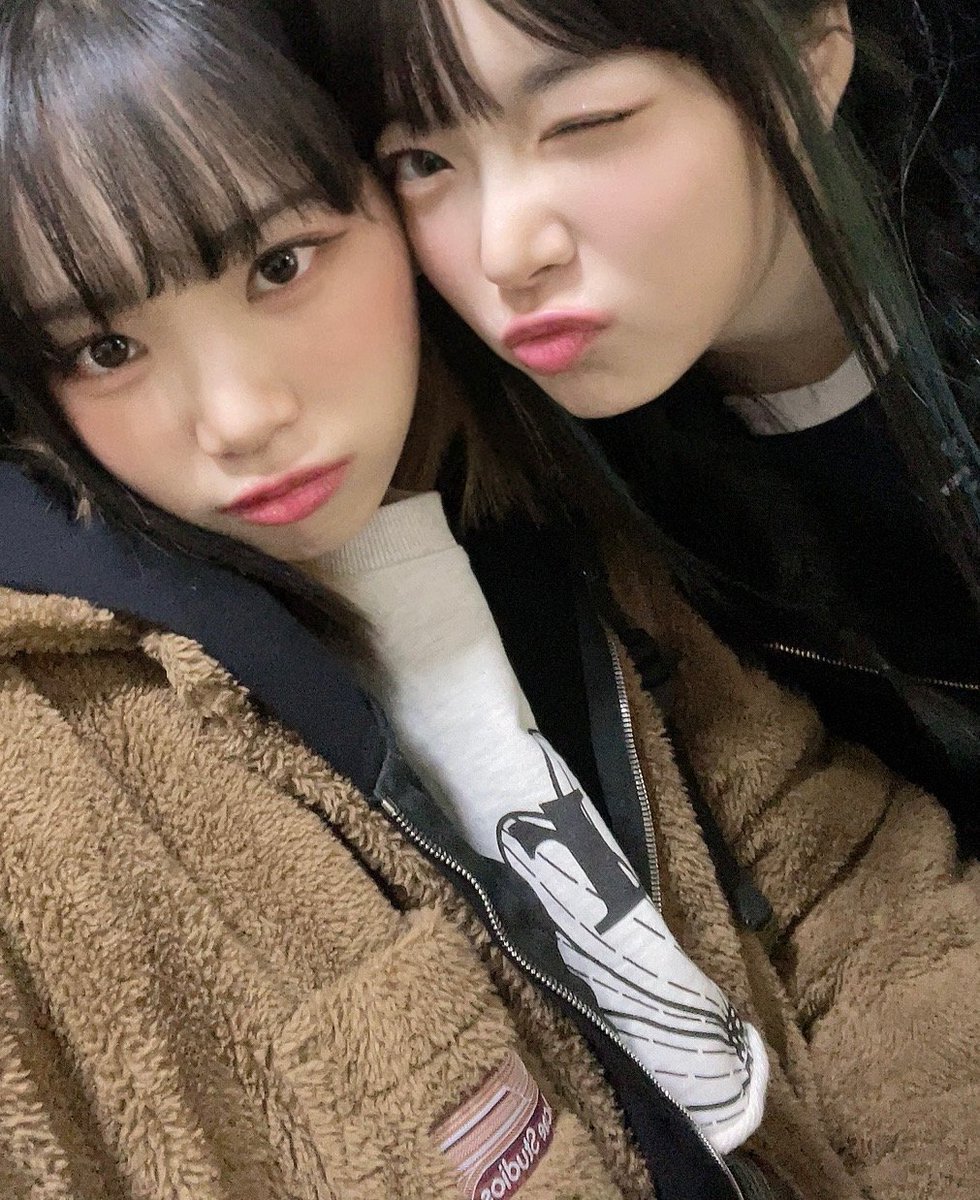 채채즈 파일 tweet media