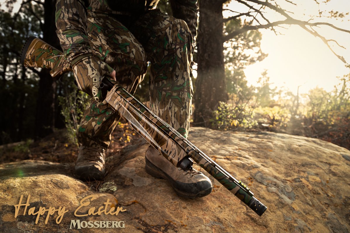 Mossberg tweet media