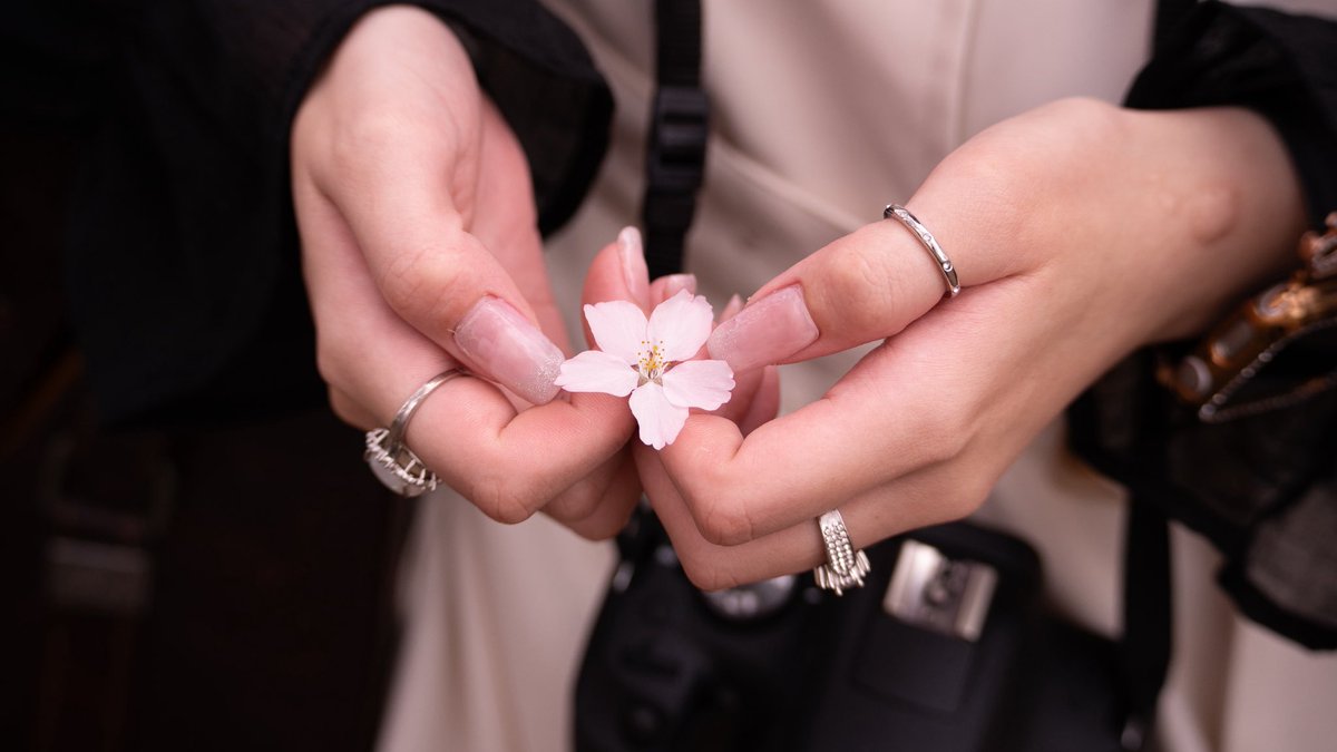 Kotaro//🇺🇸🐈‍⬛ tweet media