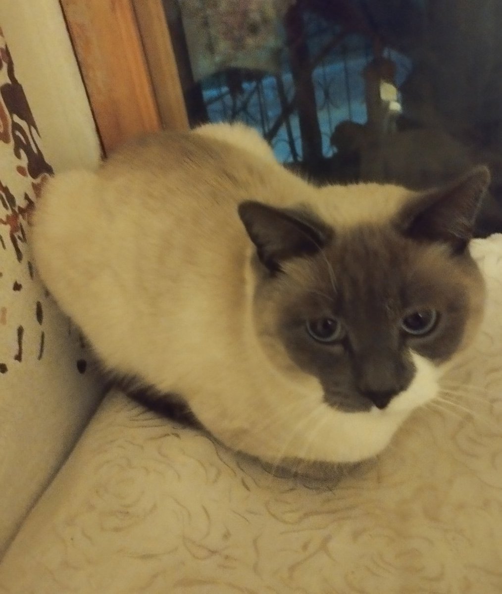 MaximGrOb tweet media